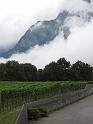 IMG_0385